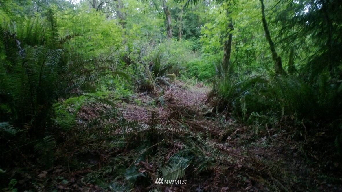 Property Photo: 294 NE 178th Place WA 98019