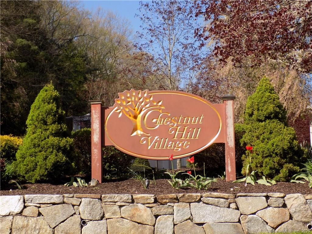 Property Photo:  93 Chestnut Street F  CT 06801 