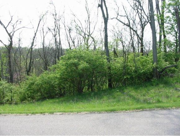 Property Photo:  0 Augusta Drive  IN 47025 