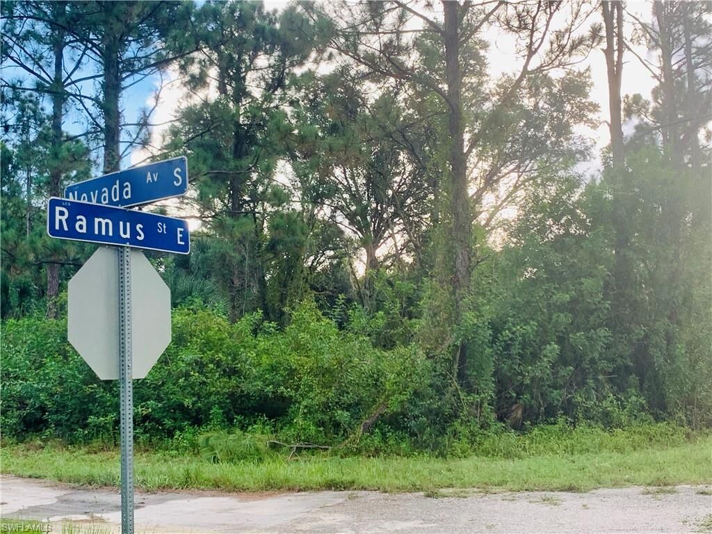 Property Photo:  1231 Ramus Street E  FL 33974 