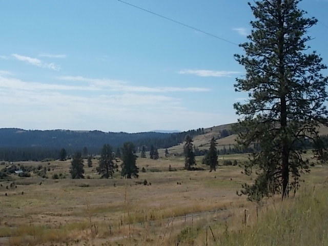 Property Photo:  1482 Dead Medicine Rd  WA 99126 