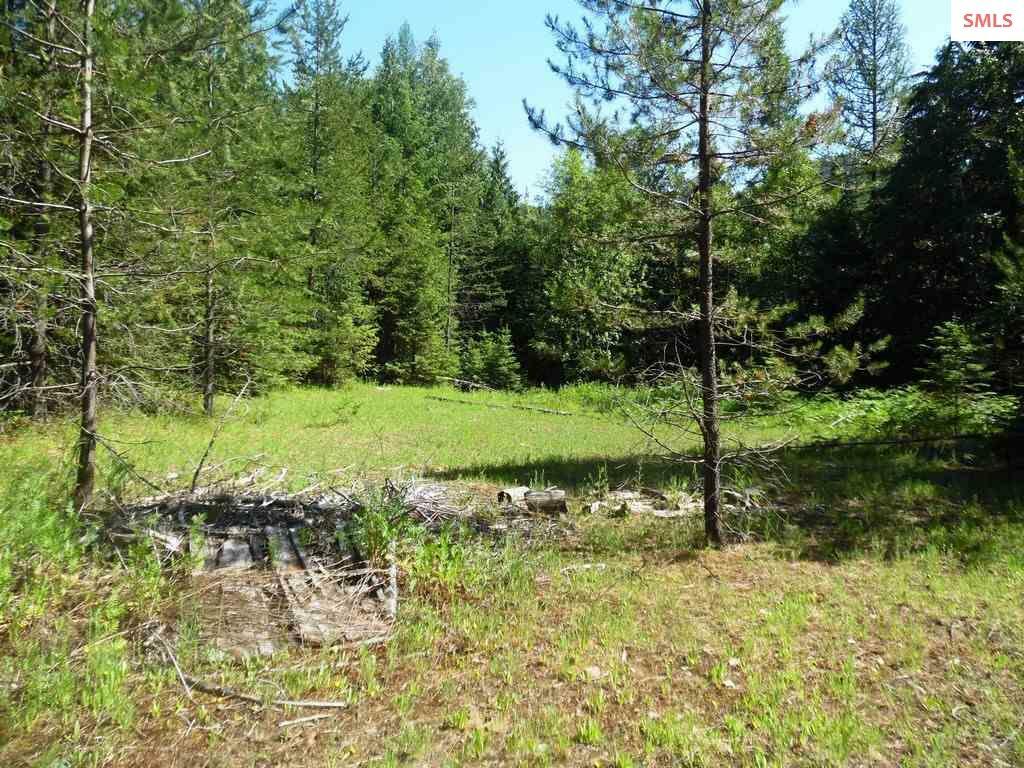 Property Photo:  Nna Trout Creek Rd  ID 83864 