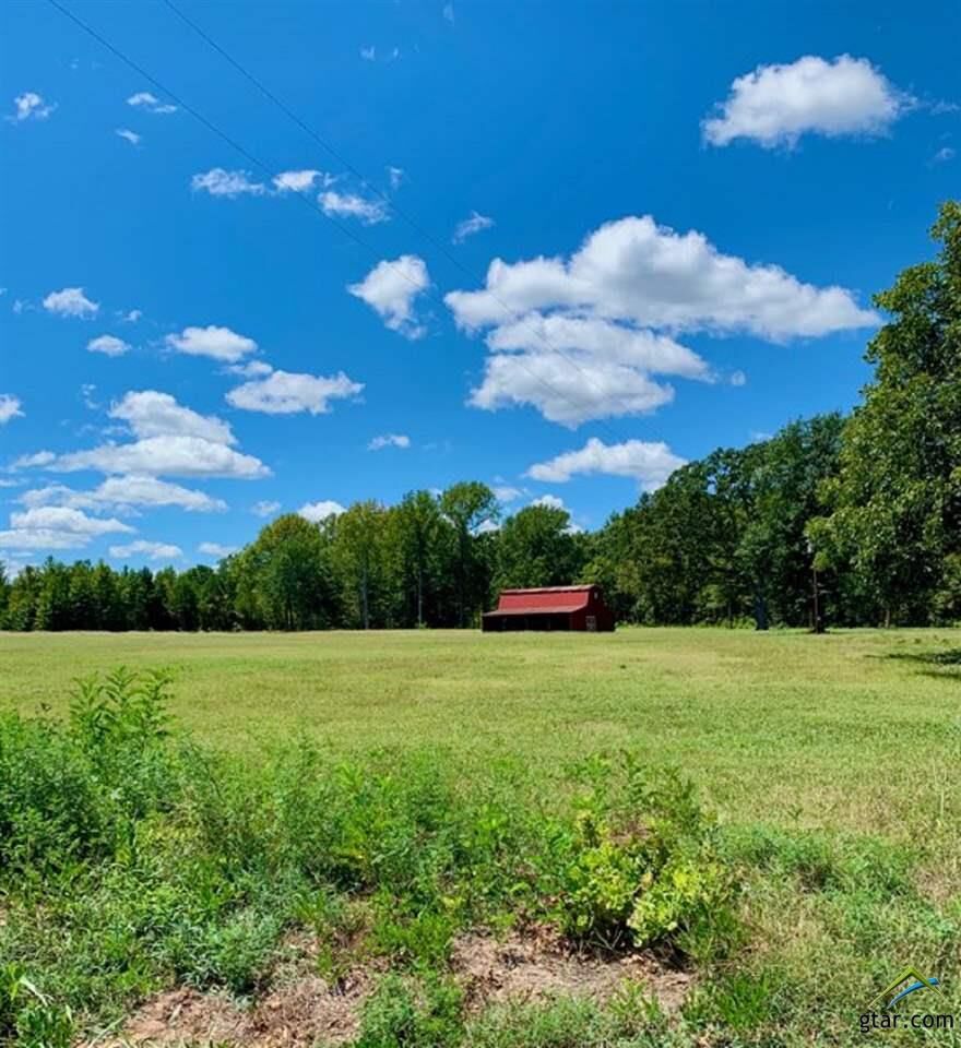 Property Photo:  21648 Cr 431  TX 75771 