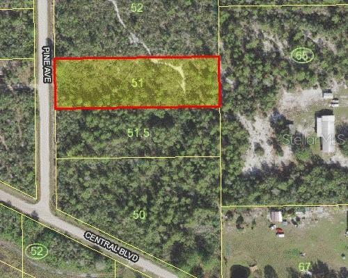 Property Photo:  Pine Avenue  FL 34972 