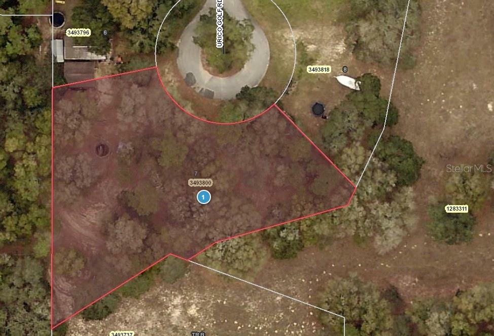 Property Photo:  Urico Golf Road  FL 32159 