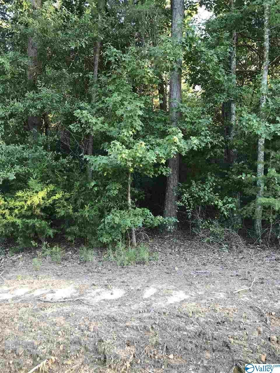 Property Photo:  Lot 30 County Road 279  AL 35650 