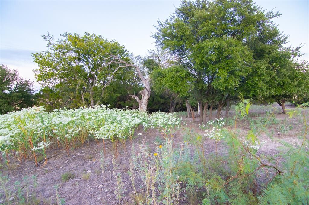 Property Photo: 98 W County Road 410 TX 76844