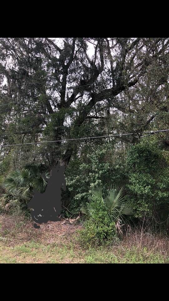 Property Photo: Tbd Paul Poppell Road 1 FL 32347