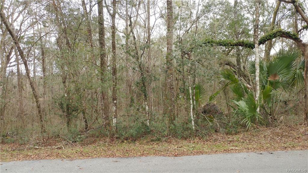 Property Photo:  13065 S Betty Point  FL 34436 