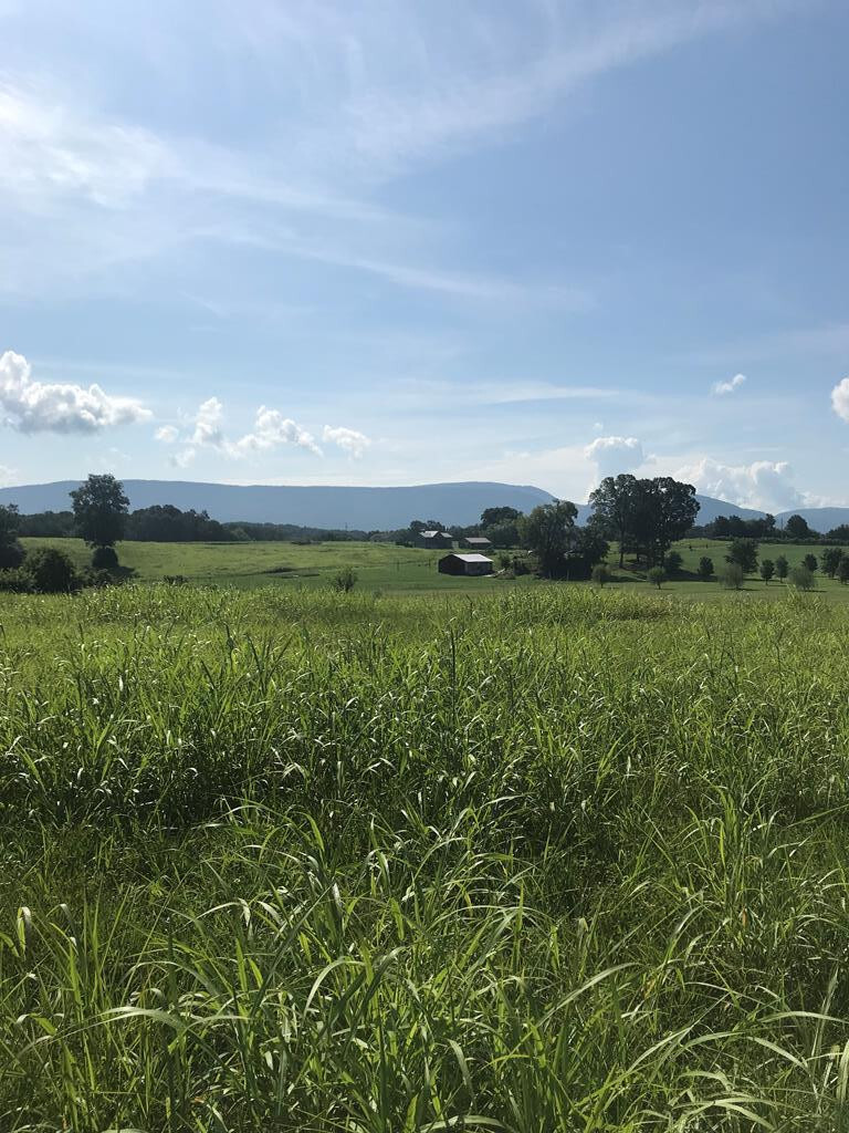 Property Photo: 417 Lot 8 County Road 788 TN 37331