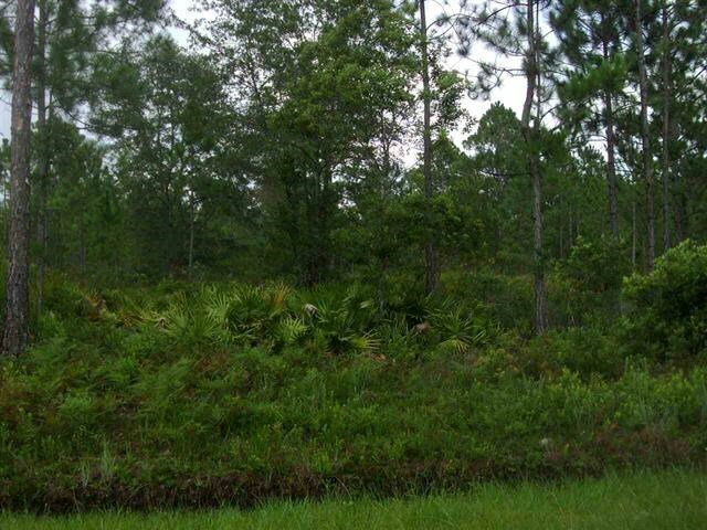 Property Photo: 10635 Beckenger Ave FL 32145