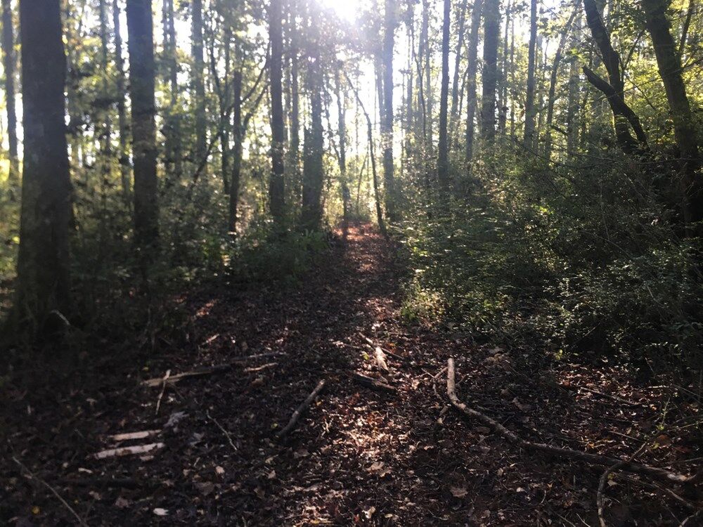 Property Photo:  0 Farmersville Road  GA 30747 