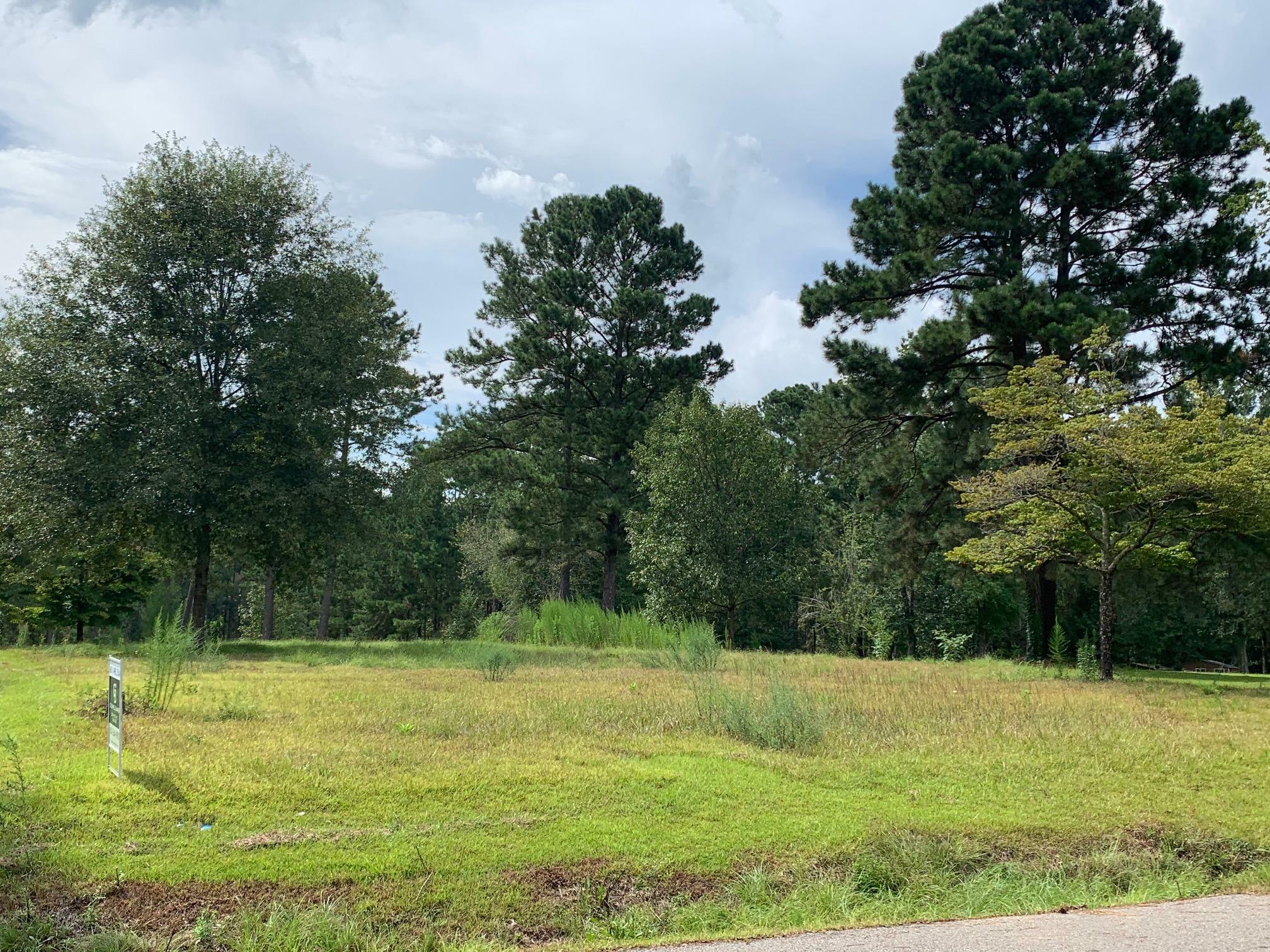 Property Photo: 00 Dogwood Lake (Lot 21) Rd. MS 39459