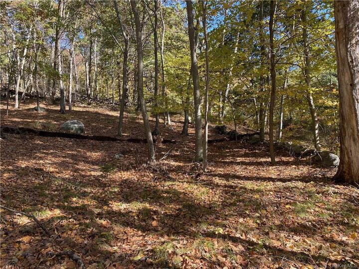 Saddle Ridge Road  Pound Ridge NY 10576 photo