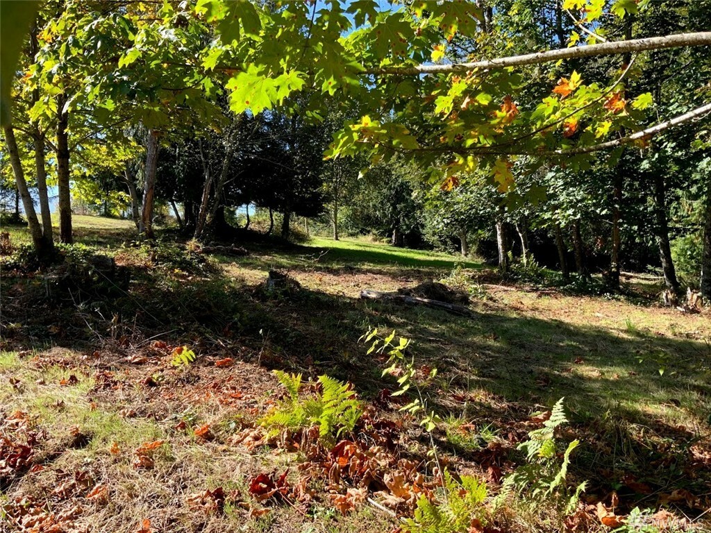 Property Photo:  7672 Blossomberry (Lot 3) Lane  WA 98284 