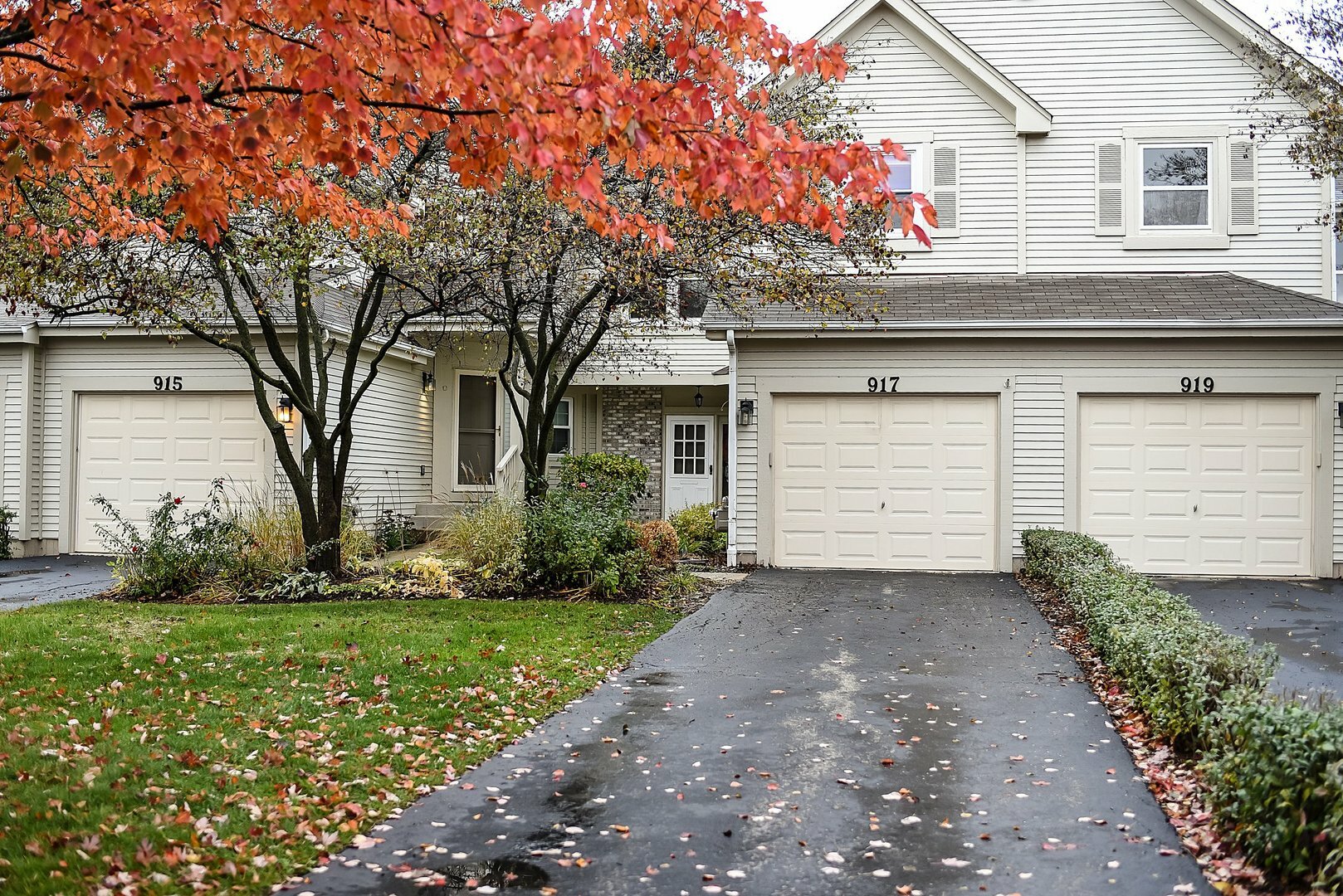 Property Photo:  917 Prospect Court 0  IL 60540 