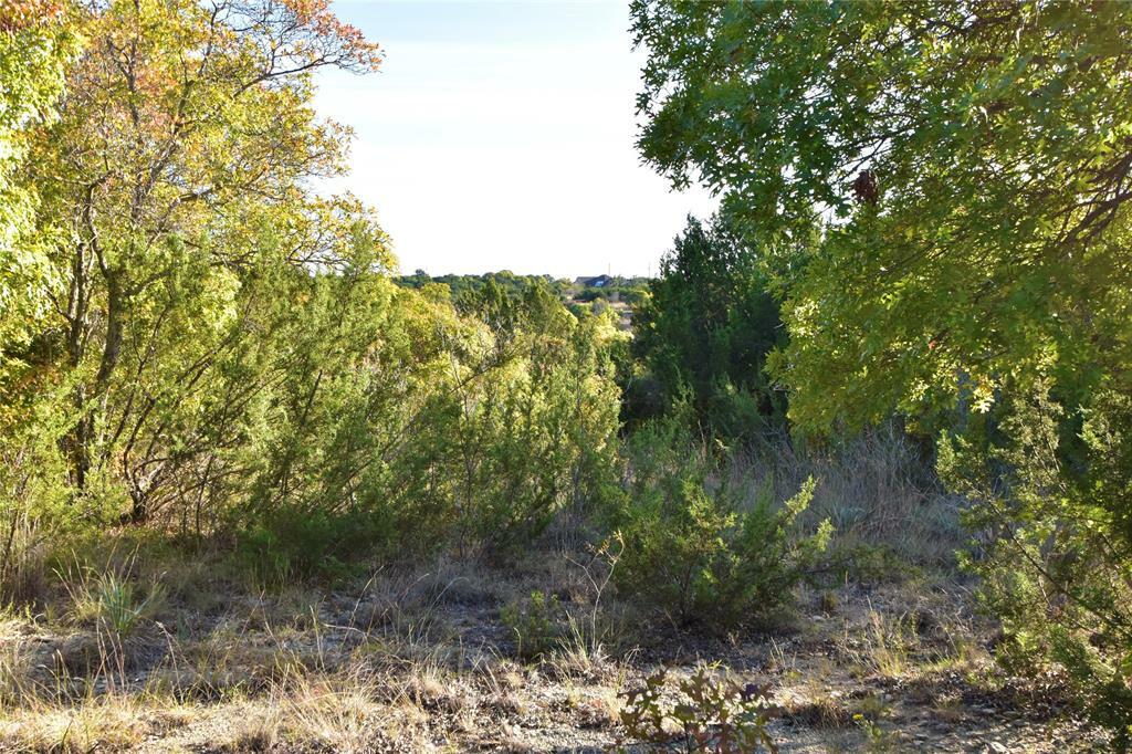 Property Photo:  1890 Beacon Lake Drive  TX 76433 