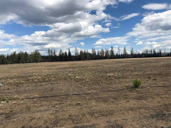 39182 E Orchard Rd  Davenport WA 99122 photo