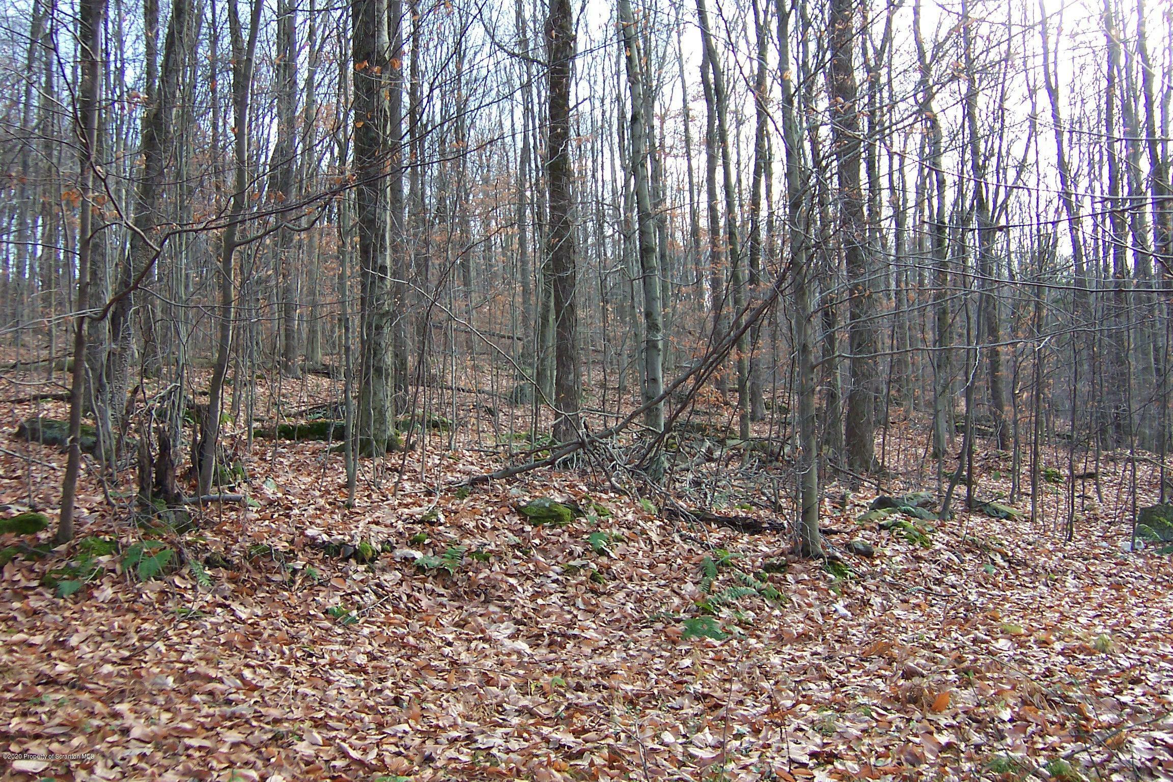 Property Photo:  0 Three Lakes Road  PA 18834 