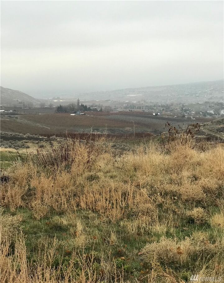 Property Photo:  0 Joe Miller Rd  WA 98828 