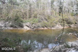 0 Bert Dedeaux Road  Saucier MS 39574 photo