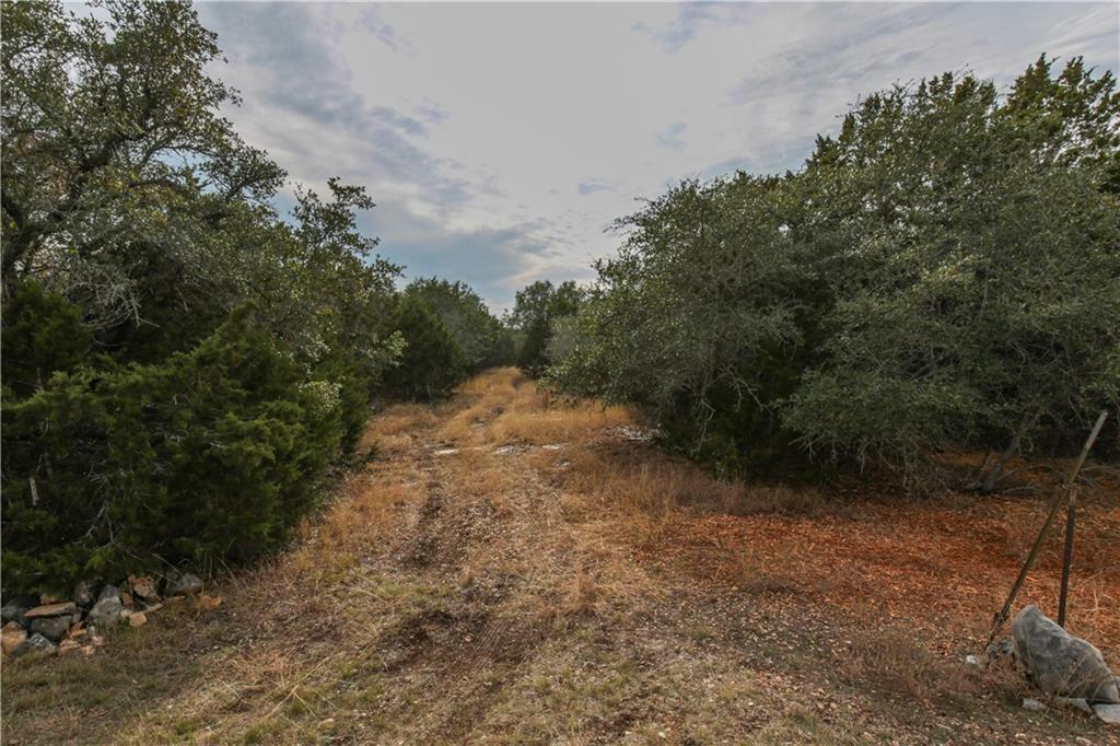 Property Photo:  1353 Falconwood Drive  TX 78666 