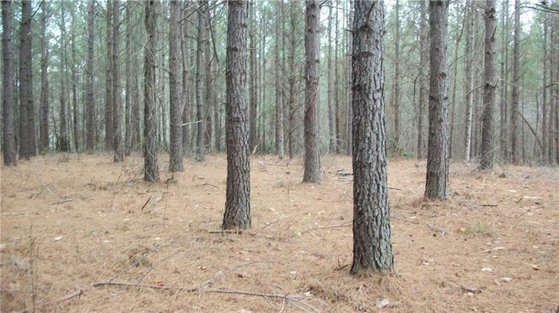 Property Photo:  4 Larmon Forks Road  GA 30533 