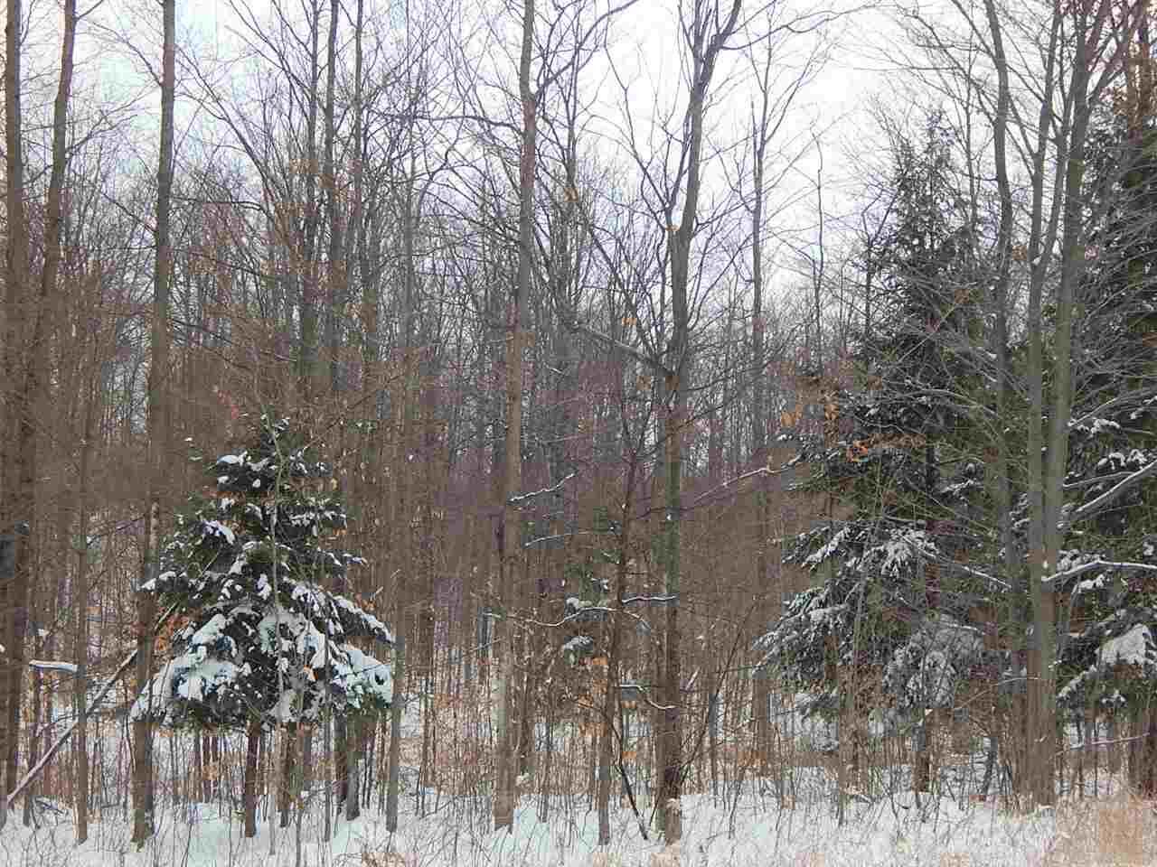 Property Photo:  Tbd Twildo  MI 49770 