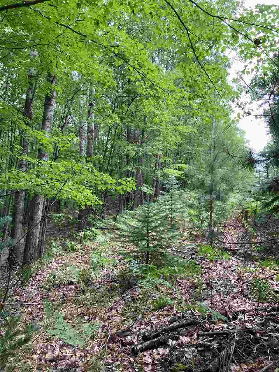 Property Photo: Xxx Beechwood Drive MI 48653