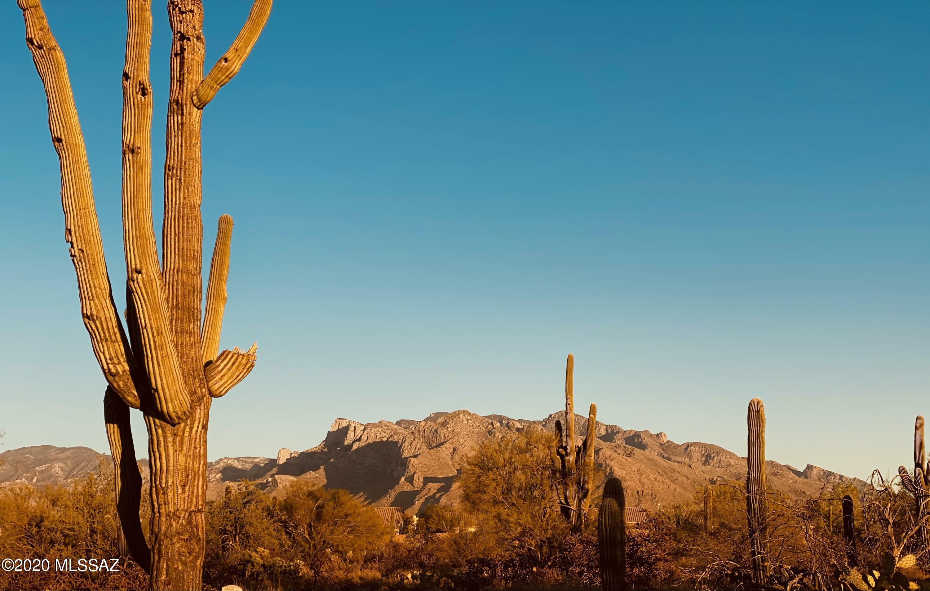Property Photo: 8926 N National Sky Place 7 AZ 85742