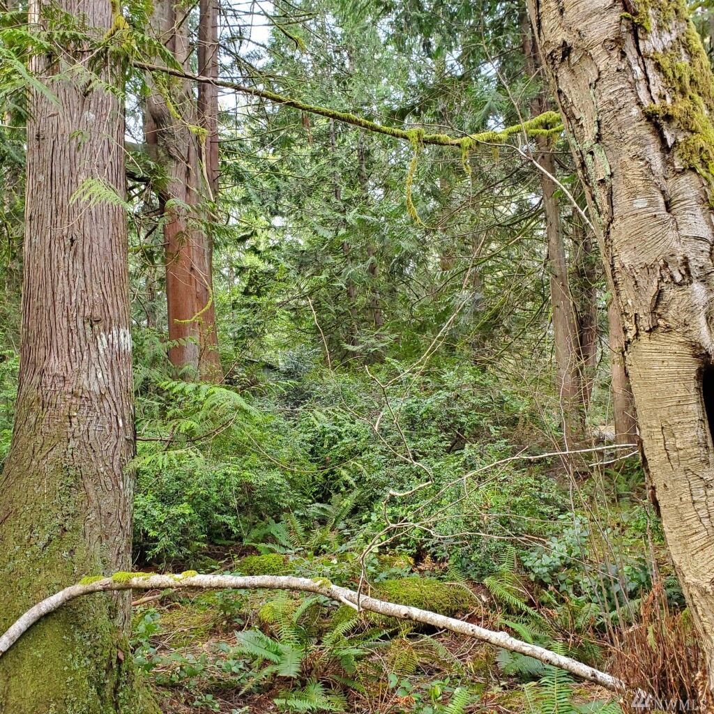 Property Photo: 100 E Liberty Rd WA 98584