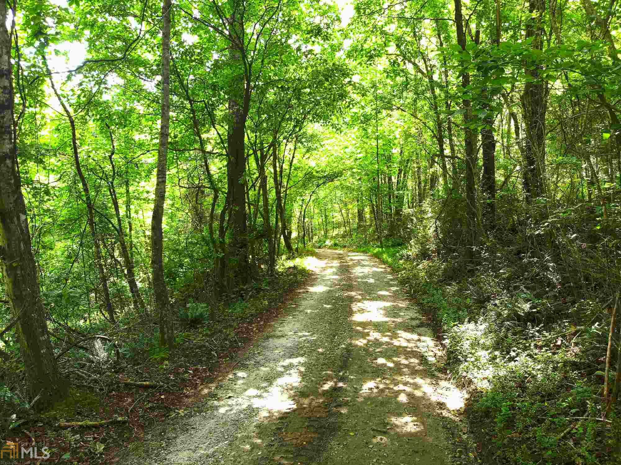 Property Photo:  0 Old Wolf Creek Rd  GA 30576 