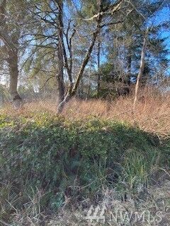 Property Photo:  32 Tract State Route 109  WA 98569 