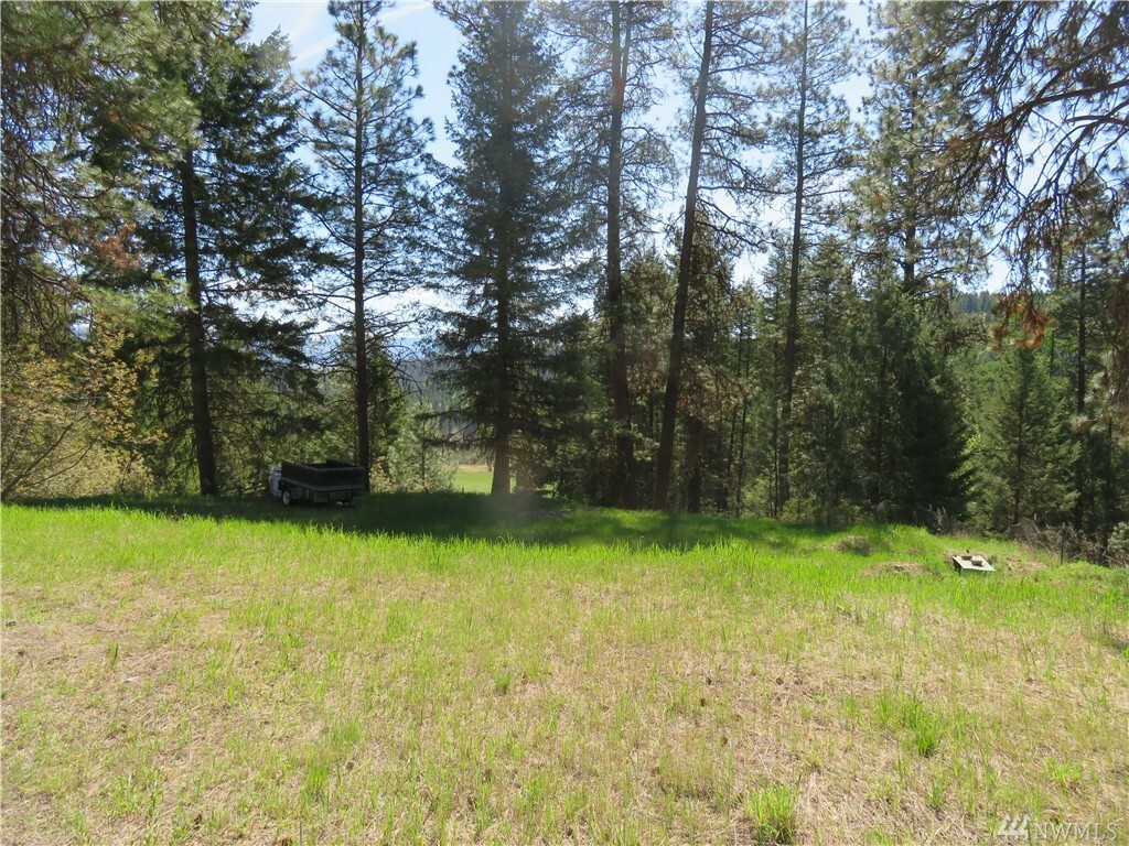 Property Photo:  Tbd Barrett Creek Rd  WA 99166 