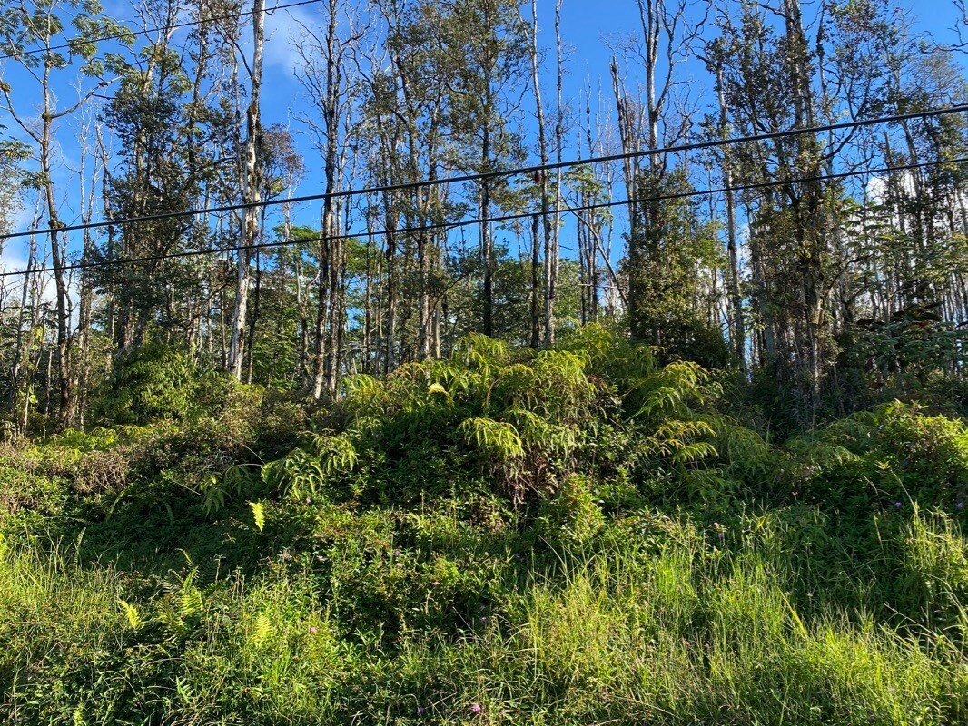 Property Photo:  Ainaloa Dr  HI 96778 