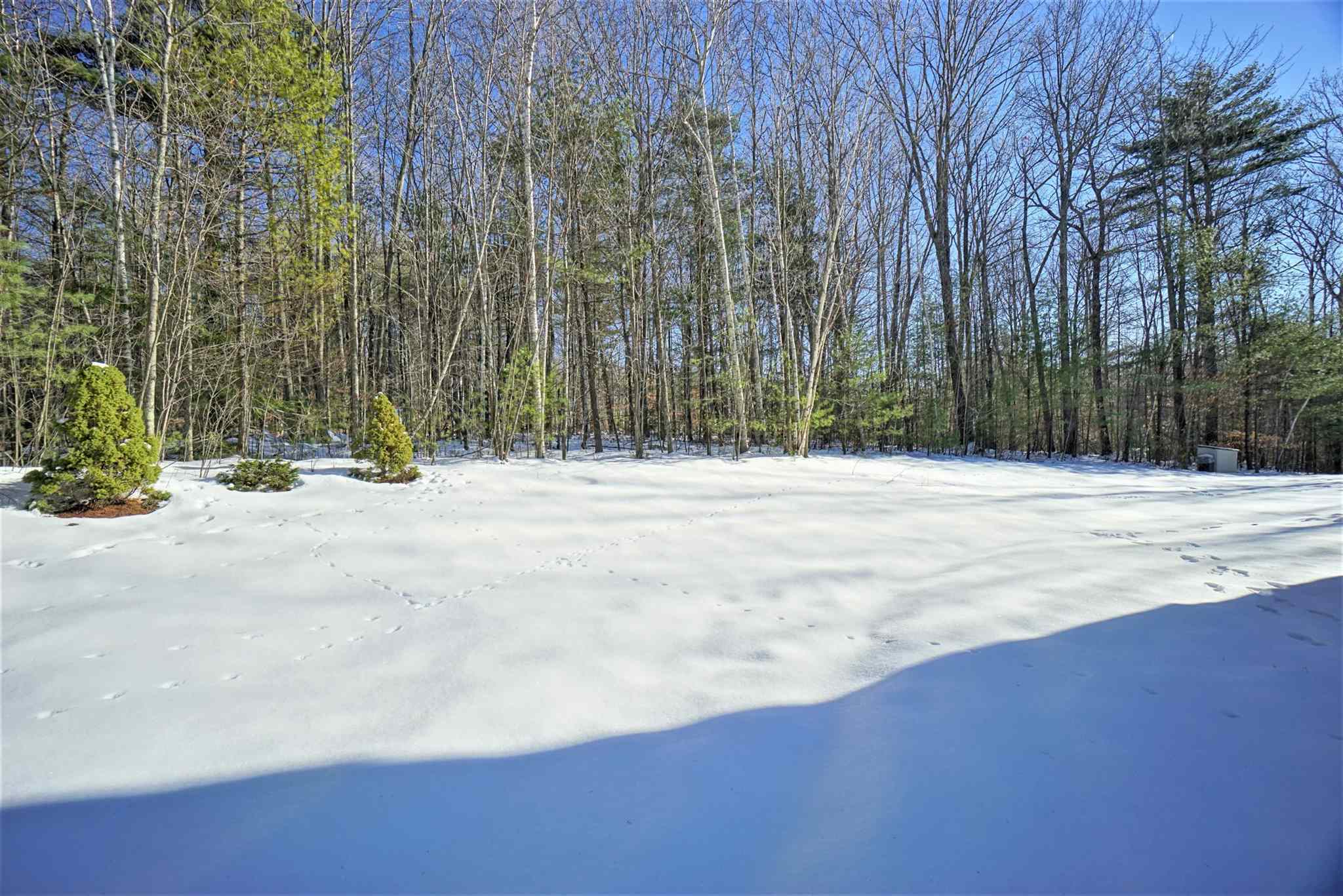 Property Photo:  76 Dickey Hill Road  NH 03244 