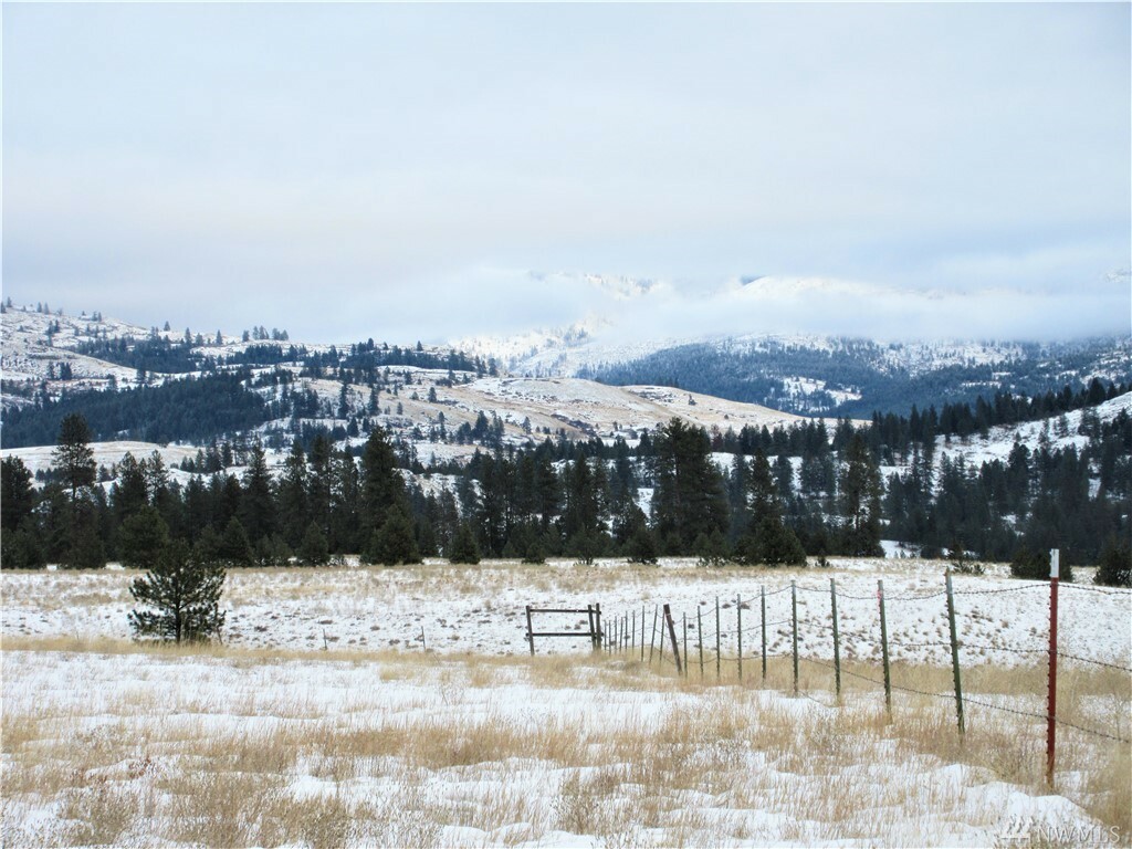 Property Photo:  Tbd Malo Lake Rd  WA 99150 