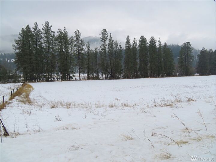 Property Photo: Lot 8 Highway 21 N WA 99121