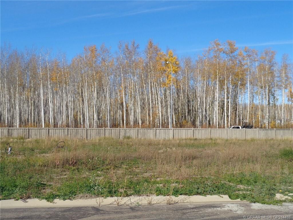 Photo de la propriété: 17 Bear Creek Drive AB T0H 1Z0