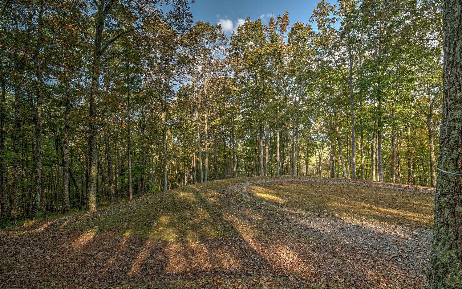 Property Photo:  Lt20r Settlement Trail  GA 30536 