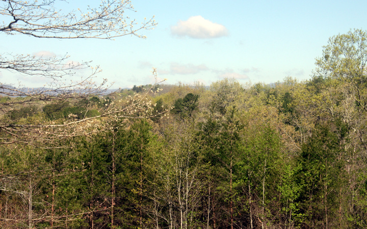 Property Photo:  Lot 3 Cohutta Overlook Drive  GA 30513 