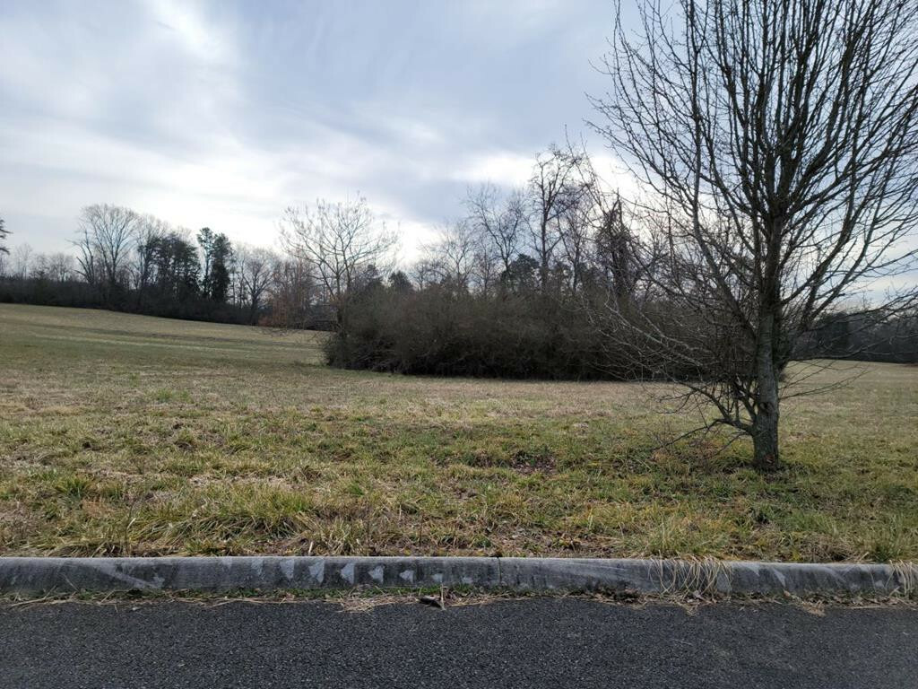 Property Photo: Lot 26 Meadow Lawn Drive TN 37329