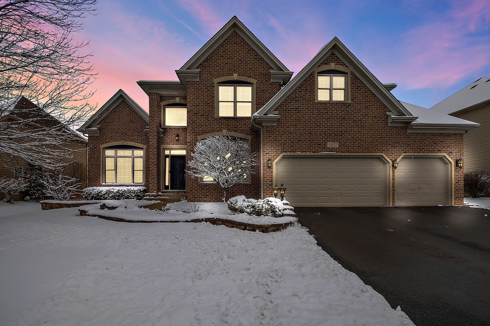 3907 Mistflower Lane  Naperville IL 60564 photo