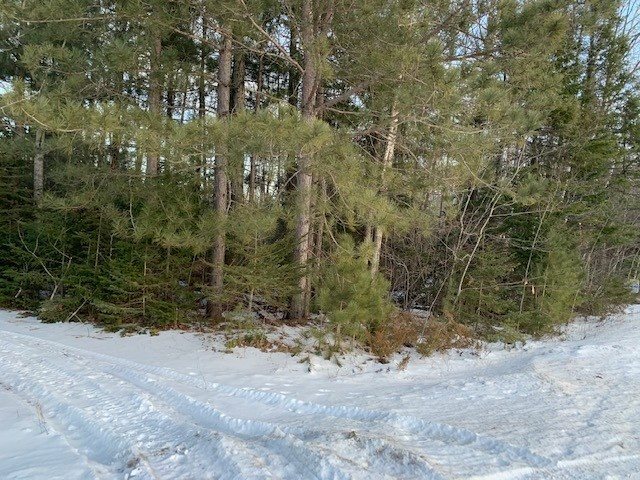 Property Photo: 000 Trails End MI 49701
