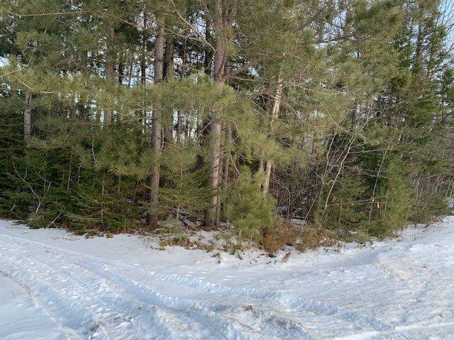 Property Photo:  000 Trails End  MI 49701 