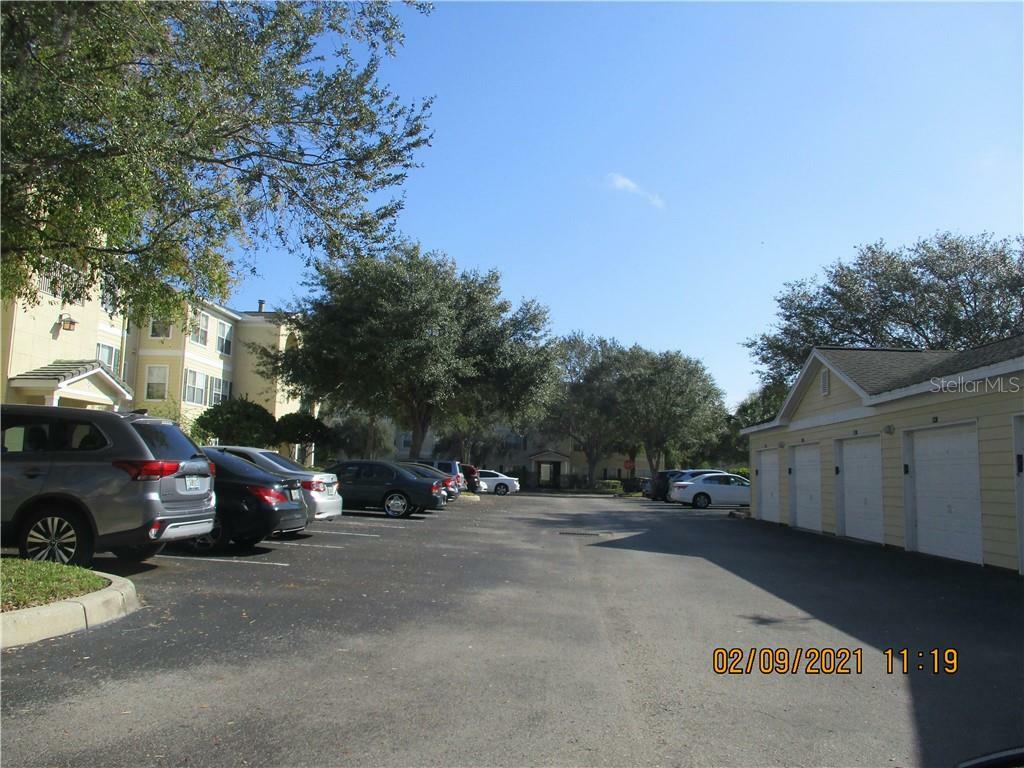 Property Photo:  18565 Bridle Club Drive  FL 33647 