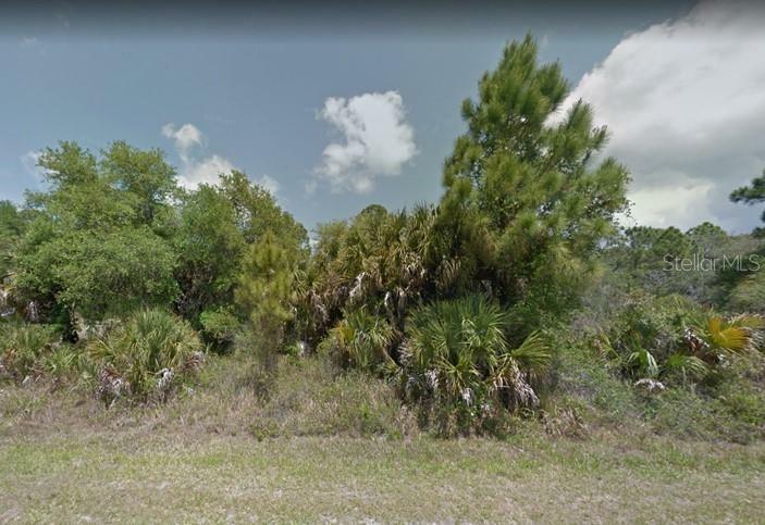 Property Photo:  14148 Mary Jo Avenue  FL 33953 