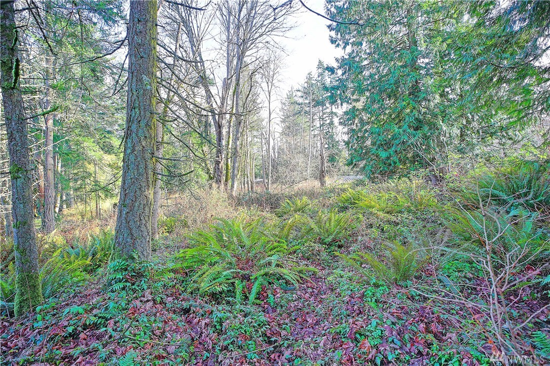Property Photo: 0 Dry Lake Rd WA 98282