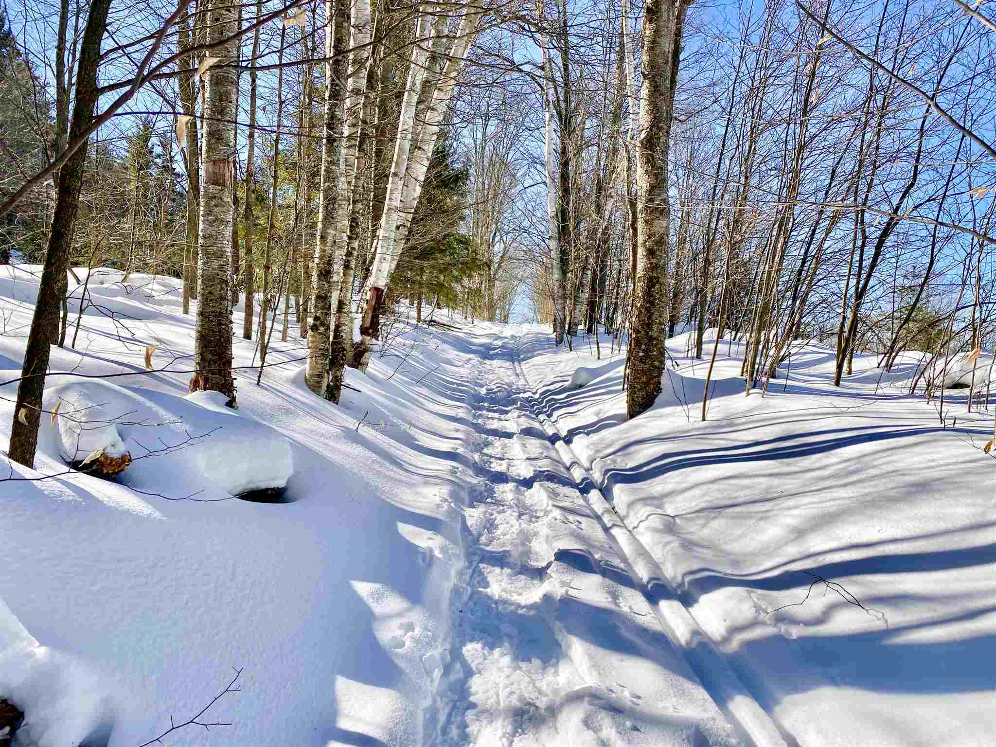 Property Photo:  Black Mountain Road  VT 05444 