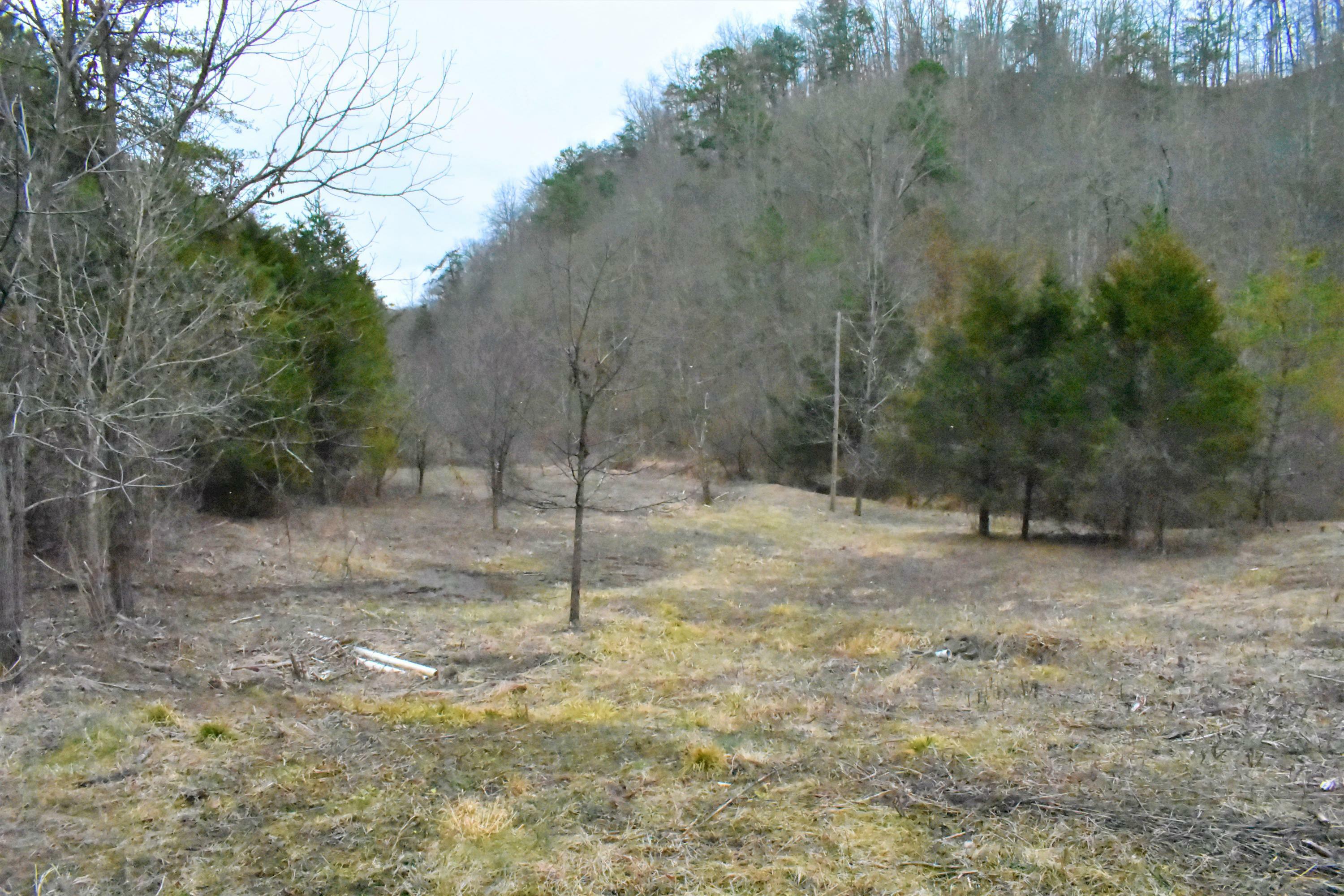 Property Photo:  00 Highway 70  TN 37765 